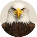 Águia, grupo 2