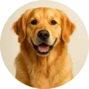 Cachorro, grupo 5