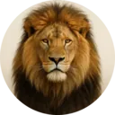 Leão, grupo 16